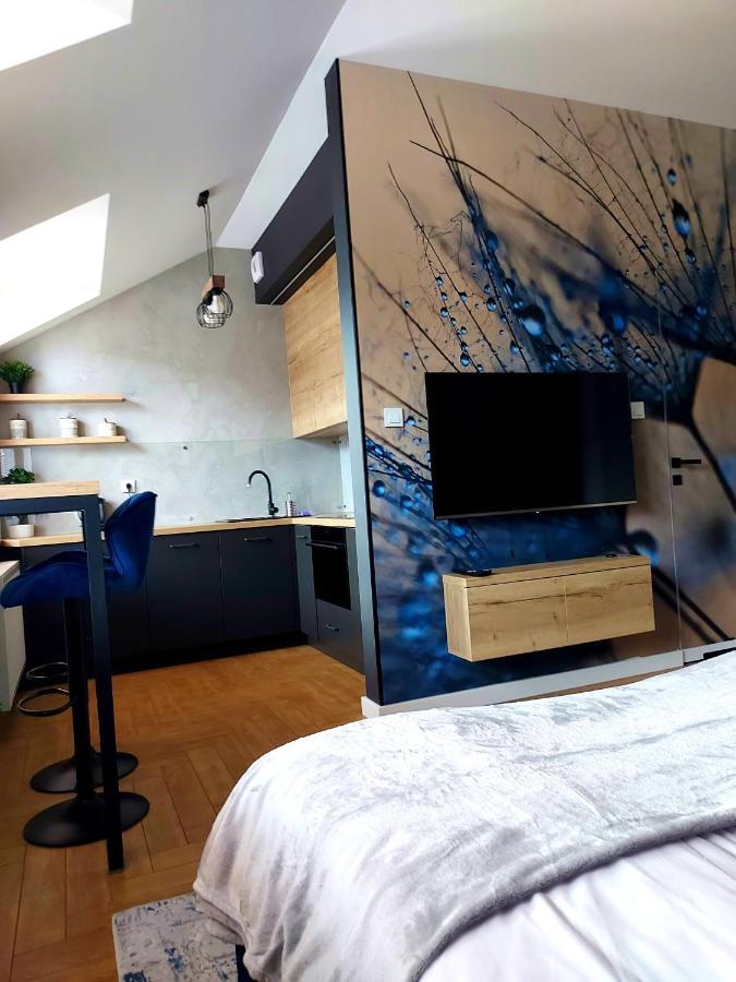 Hetman Apartment Zamość